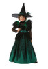 Wizard of Oz Wicked Witch Kids Deluxe Costume