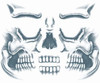Face Tattoo FX Skull Temporary Tattoo Sheet