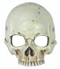 Skull Foam Half Mask Frontal only with Black Elastic Strap