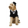 Dapper Dog Pet Costume