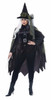 Gothic Witch Adult Full Figure