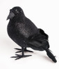 Black glitter crow 