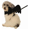 Black Bat Wing Pet Harness