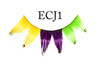 Eyelashes Mardi Gras w/ Stone Tip(ECJ1)