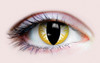 PRIMAL ® Thriller - Yellow Colored Contact Lenses