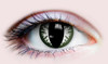 PRIMAL ® Godzilla - Green Colored Contact Lenses