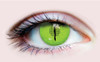 PRIMAL ® Jurassic III - Green Reptile Colored Contact Lenses