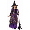 Spider Sparkle Witch Kids Costume