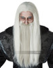 Dark Wizard Wig