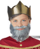 Wise Man Beard And Mustache Child Grey