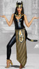 Dreamgirls Kitty Of De Nile Ladies Costume