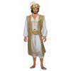 Desert Prince Adult Costume