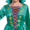 Wini Disney Hocus Pocus Classic Adult Costume