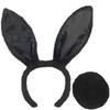 Black Bunny Ears & Tail