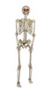 5 FT Poseable Skeleton Grave & Bone with LED Eyes