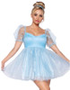 Frosted Organza Babydoll Dress