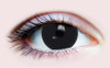 PRIMAL ® Black Mini Sclera - Colored Contact Lenses