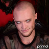 PRIMAL ® White Mini Sclera - White Colored Contact Lenses