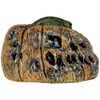 Rotten pumpkin 6
