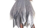 Victorian Ghost Costume for Adults, Grey Dress