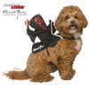 Devil Face® Pet Rider