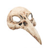 Bone Raven Skull Beak Mask
