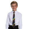 Show your Hogwarts pride with this Hogwarts All-House Tie inspired by the Wizarding World of Harry Potter.