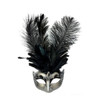 Venetian Feather Mask