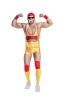 Party King Ultimate Wrestler