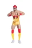 Party King Ultimate Wrestler