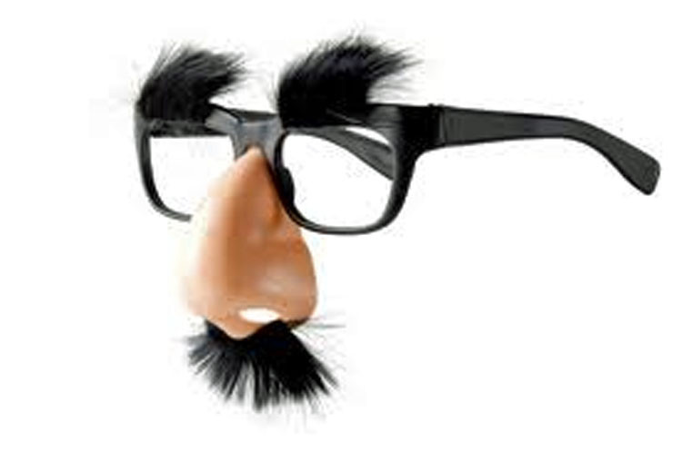 groucho marx glasses