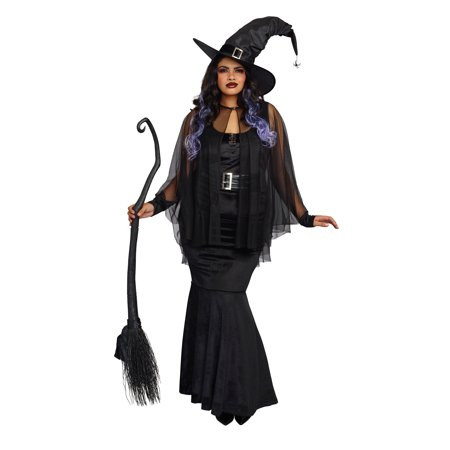 Bewitching Beauty Womens Plus Size Witch Costume Imaginations Costume Dance