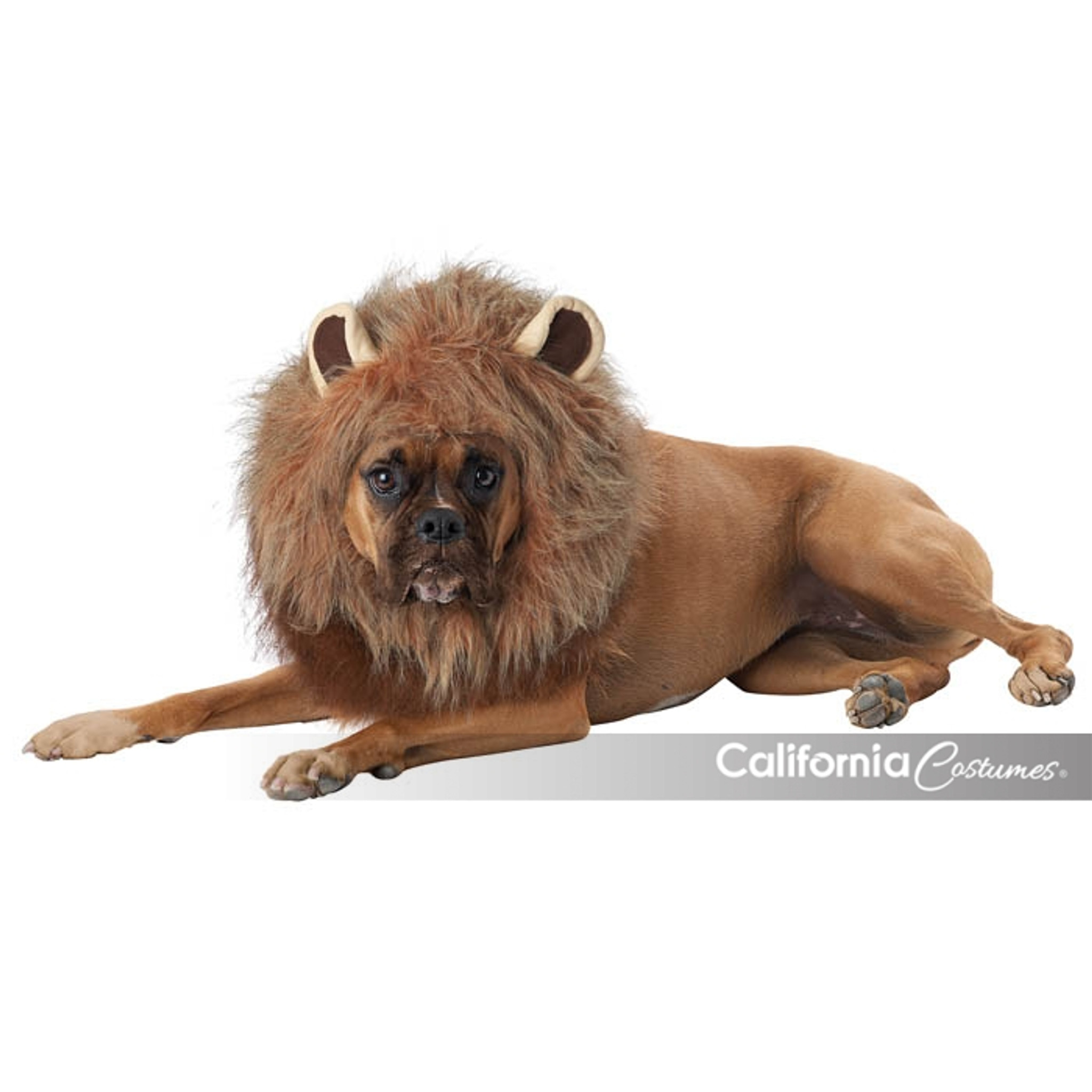 King Of The Jungle Dog Costume Imaginations Costume Dance