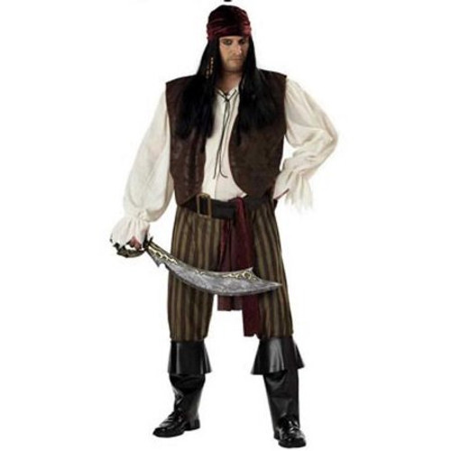 Rogue Pirate Plus Size Men's Costume