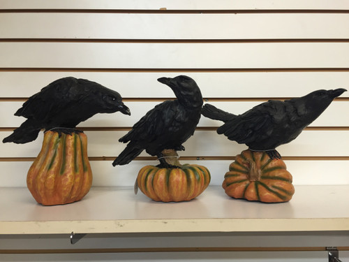 Crow on a Pumpkin Decor 3 Different Poses