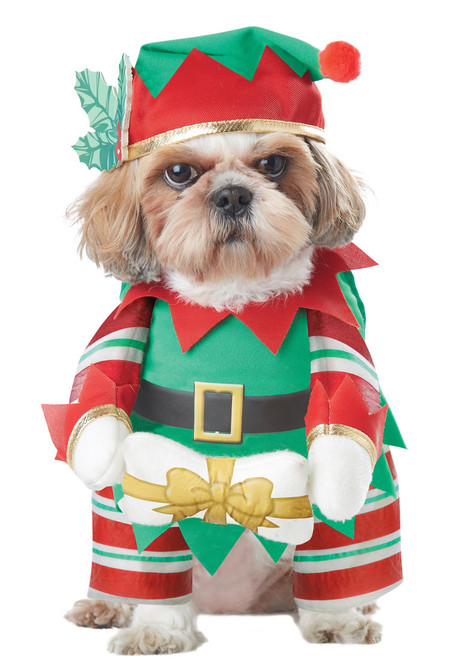 Elf Pup Dog Costume (PET20132)
