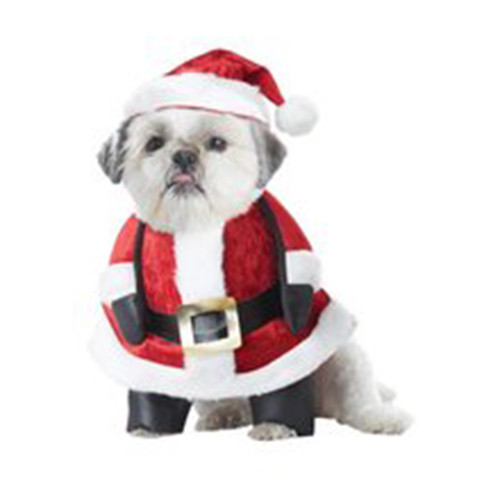 Santa Paws Dog Costume
All Items are IN STOCK and READY TO SHIP SAME DAY for orders placed by 1 pm EST! Next Day and Second Day orders are not available to ship to PO Boxes

Get your fluffy friend ready for the holiday season by purchasing this Santa Paws Pet Costume. Your pooch can put on his Kris Kringle ensemble so that you can take a picture for a Christmas card, attend a pet friendly party together, or so they can look super cute while celebrating with family at home. The costume is made to resemble Santa's coat and is attached with fake arms, as well as legs for your pups front feet. A black belt wraps around the faux velvet jacket which comes in red and features plush trim along the bottom and up the front. The included hat has the same design as the coat and is adorned with a pom pom at the end, completing your pet's costume.

 

Small (Fits up to 12 Length, 16-20 Chest, & 12-14 Neck), Medium (Fits up to 16 Length, 20-24 Chest, & 14-16 Neck), Large (Fits up to 20 Length, 24-28 Chest, & 16-20 Neck)
Includes Hat and Costume with attached Arms and Legs
Small (Fits up to 12" Length, 16"-20" Chest, & 12"-14" Neck), Medium (Fits up to 16" Length, 20-24" Chest, & 14"-16" Neck), Large (Fits up to 20" Length, 24-28" Chest, & 16-20" Neck)