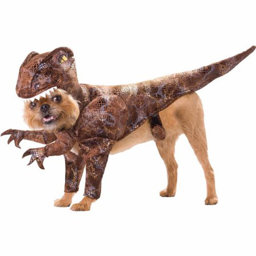 Raptor Dog Costume