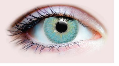 Primal Allure Sapphire Contacts