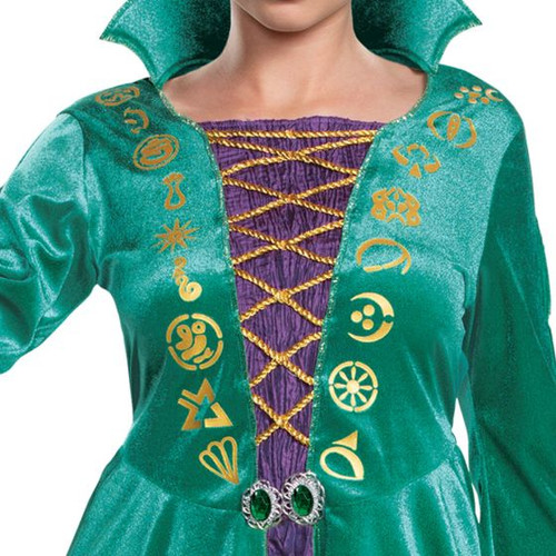 Wini Disney Hocus Pocus Classic Adult Costume Wini Disney Hocus Pocus Classic Adult Costume
