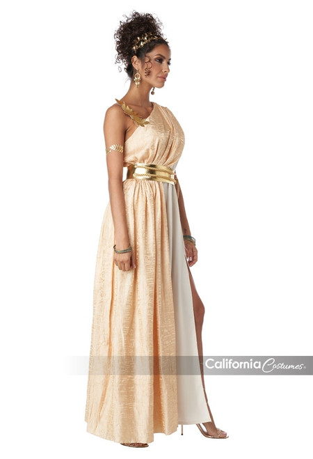 Golden Goddess Adult Costume