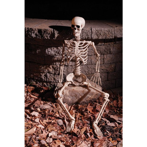 36" Articulated Skeleton