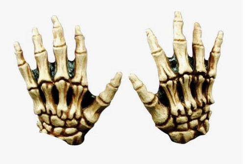 Junior Skeleton Hands Bone Colored