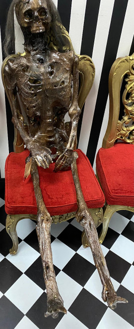 MBP Female Rotted Corpse MBP Female Rotted Corpse