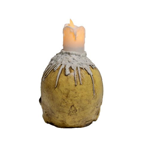 Waxed skull Waxed skull