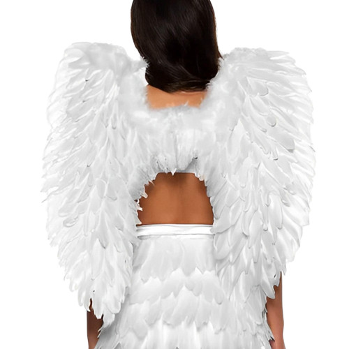 Feathered Wings,