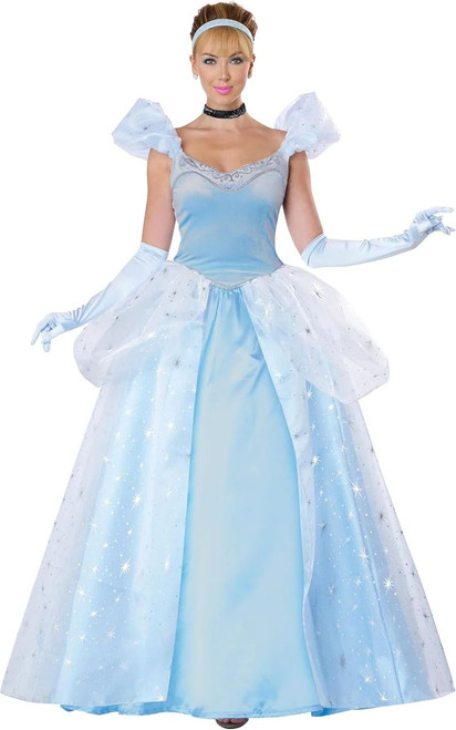 Enchanted Princess Cinderella