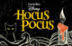 Wini Disney Hocus Pocus Classic Adult Costume