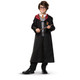 Harry Potter Classic Costume