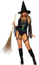 Broomstick Babe Witch Costume